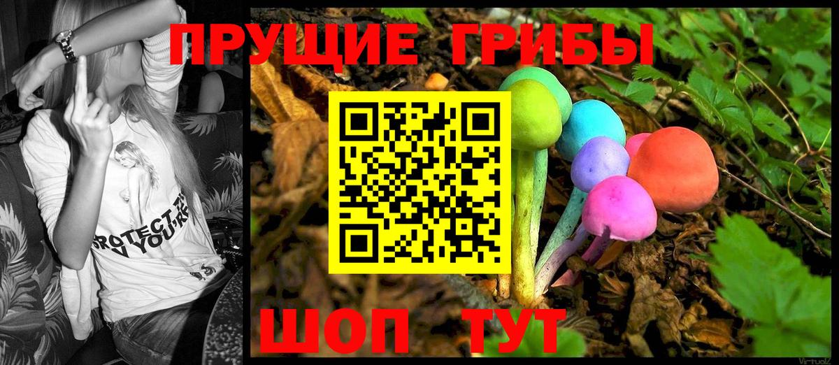 Галлюциногенные грибы MAGIC MUSHROOMS Вязьма
