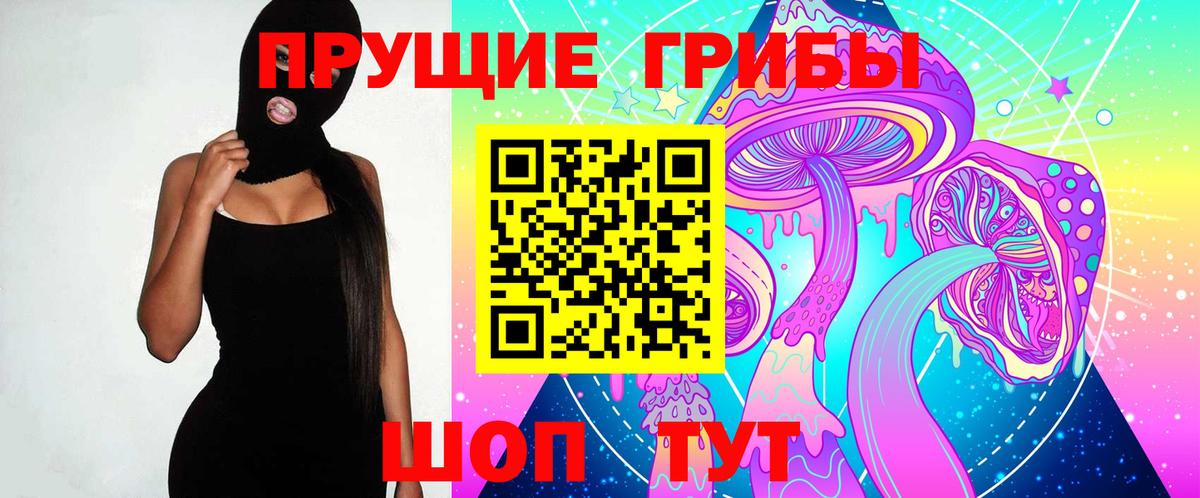 купить наркотик  Вход с VPN  Вязьма  Галлюциногенные грибы Cubensis  Галлюциногенные грибы Cubensis 